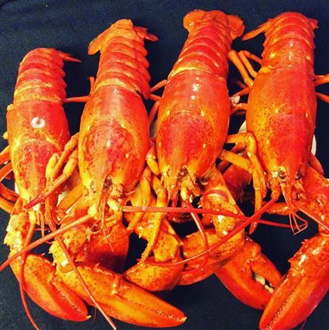 Frozen Lobsters Tails for Sale