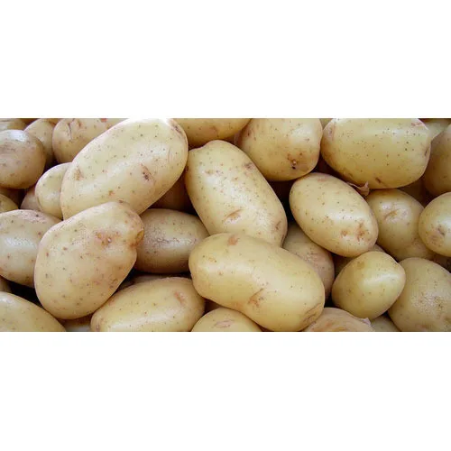 Оптовая продажа гладкая кожа круглая форма Lauvkar картофельный флот глаз с выступающими бровями для настольного картофеля и