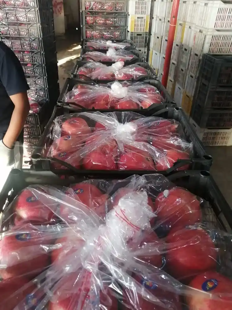 Pomegranates/ Fresh
