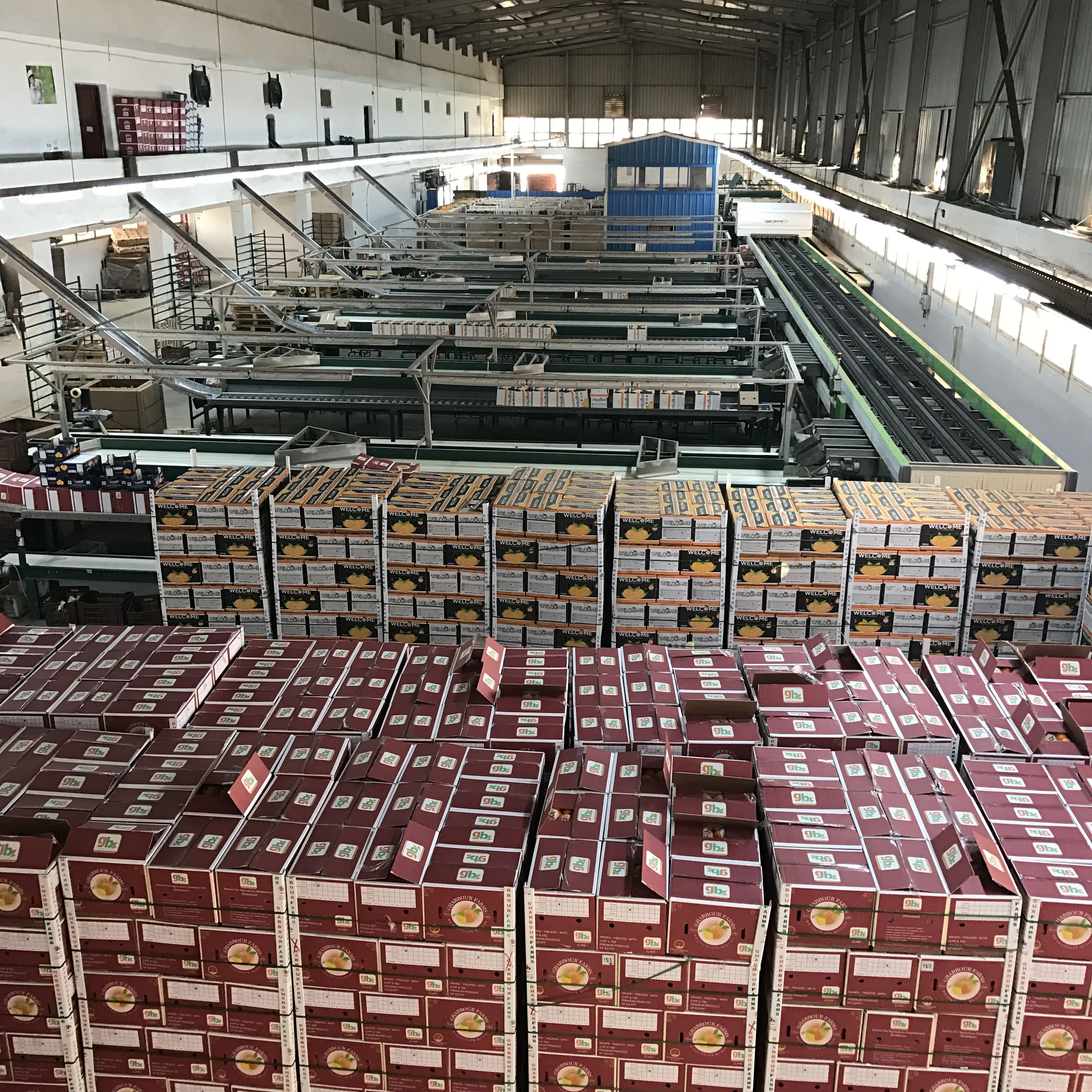 EGYPTIAN ORANGE HIGH QUALITY