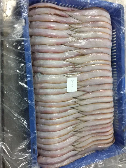 FRESH FROZEN SOLE FISH SIZE 100/200    200/300  SEAFOOD EXPORTERS TRADERS SUPPLIERS