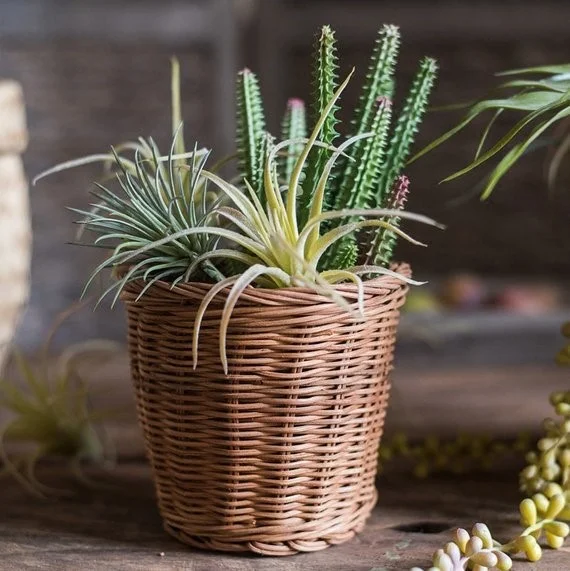 Eco-friendly High Quality Round Rattan Basket