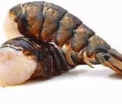 Live Canadian Lobsters, Frozen Lobster Tails For Sale
