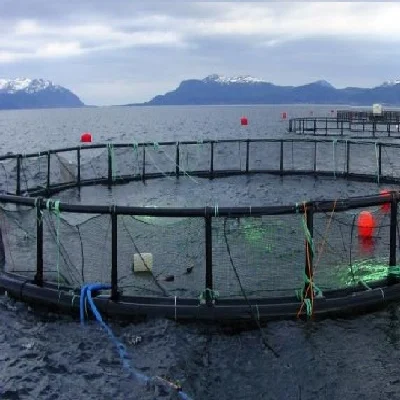 Fish Farming Cage floating fish cages