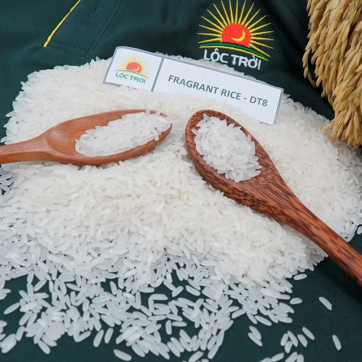 Wholesale 2022 Long Grain Fragrant Rice/White Rice DT8 Variety from Vietnam Best Supplier Contact us for Best Price