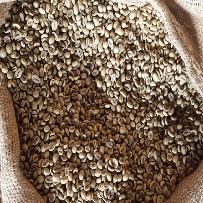  Вьетнамский КОФЕ robusta S18 WP кофейные зерна лидер продаж