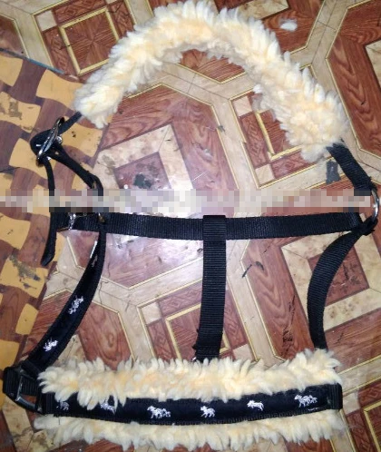 Fleece Padded PP halters IN;34648 full cob Shetland