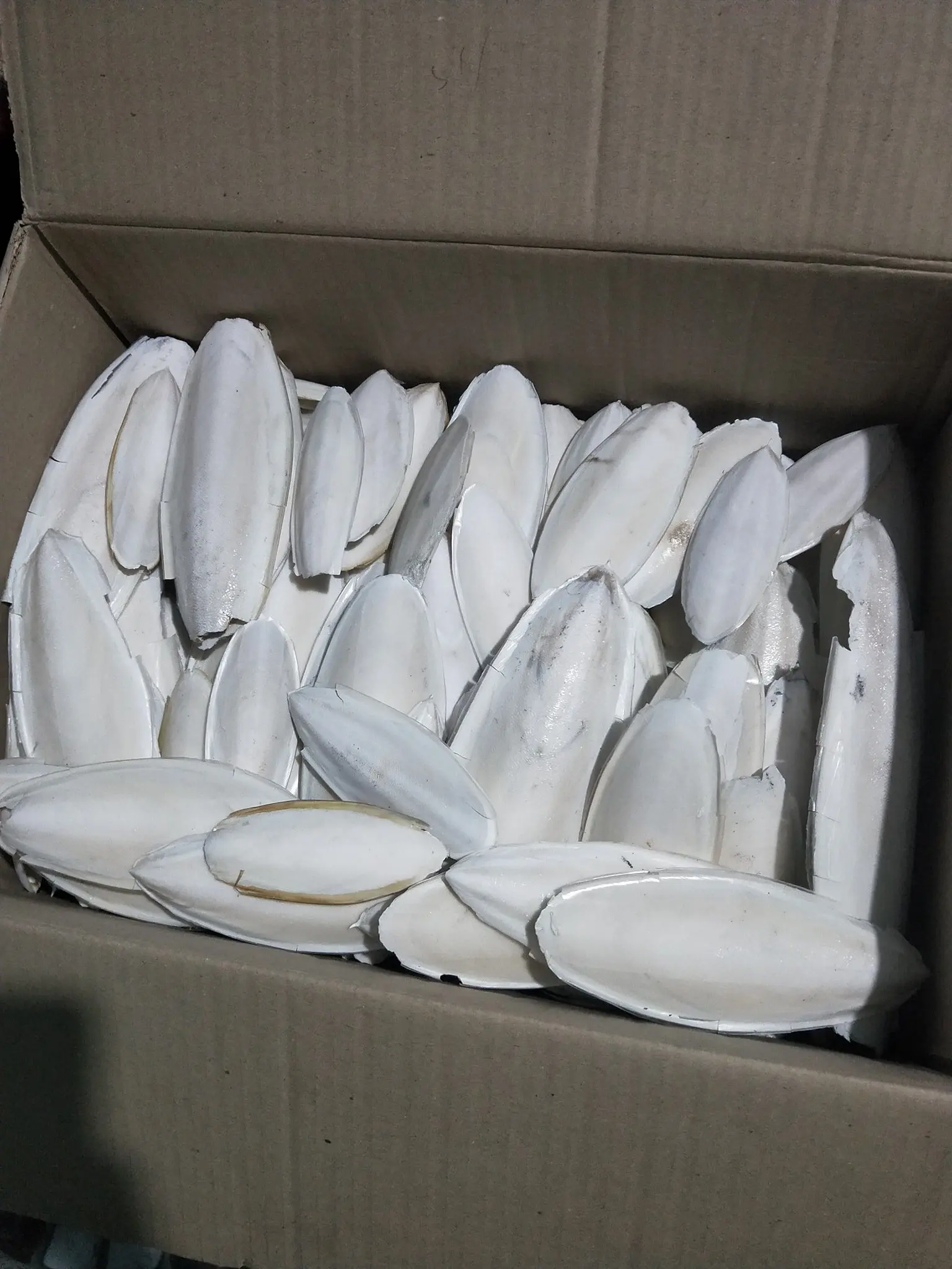 Лучшее качество кости для морской рыбы корма животных высокое 100% натуральная из Вьетнама сушеные косточки птиц