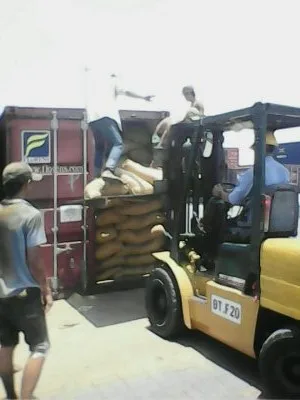 SEA FISH MEAL 50-65% PROTEIN _WHOLESALE FROM VIETNAM WITH HIGH STANDARD