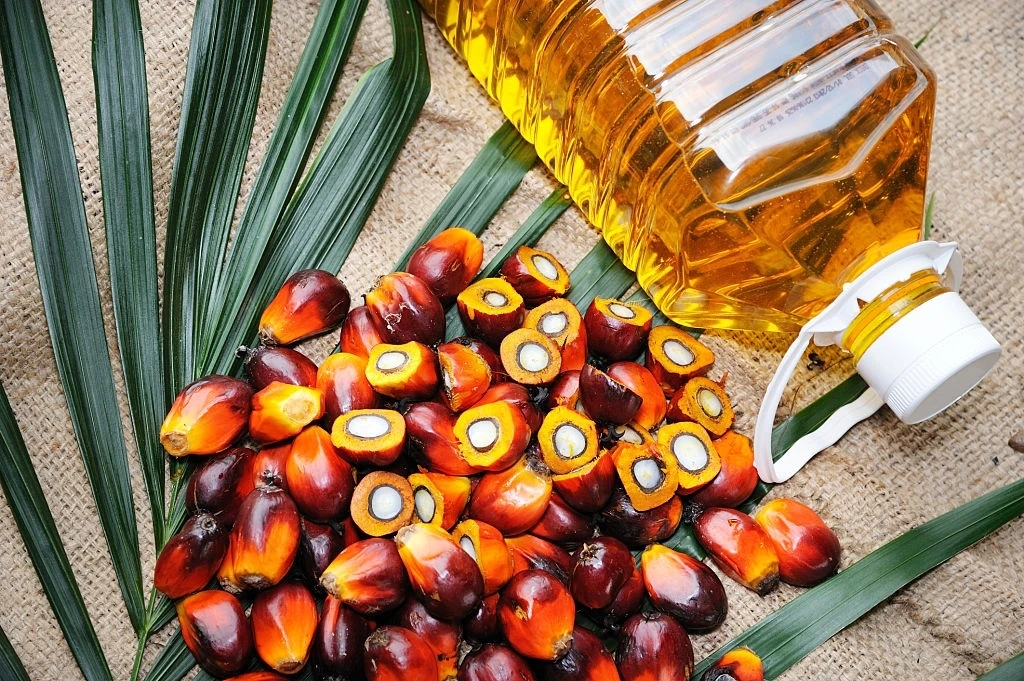 High Quality Pure Organic Crude Red Palm Kernel Oil Wholesale