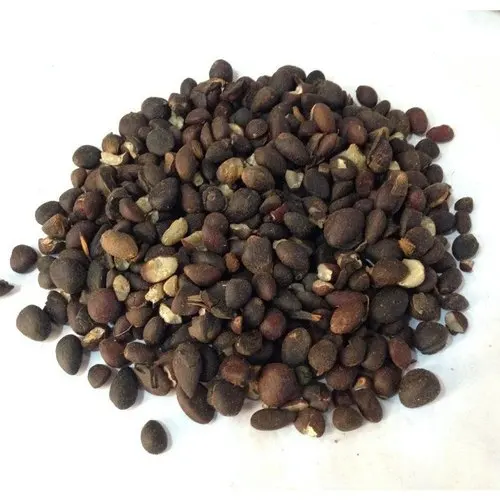 
cracked palm kernel nuts 8000 tons 