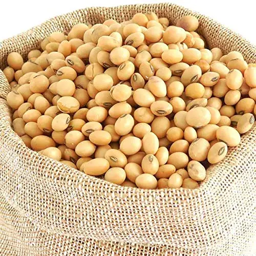 BULK SOYBEAN SEED FOR MILF AND OIL PRESSING HIGH CALORIFIC OIL AND PROTEIN CONTAIN GREAT FOR HUMAN CONSUMPTION PROTEIN 39 %