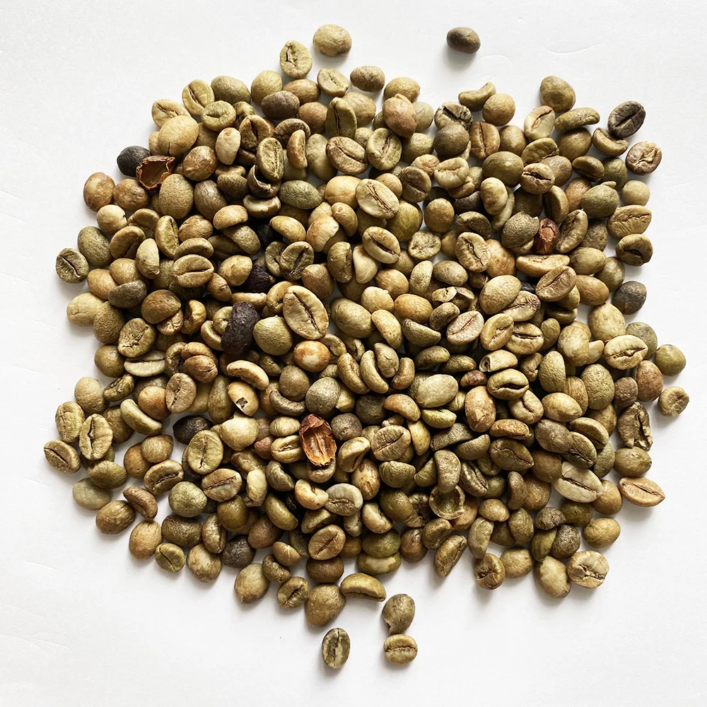 Best sellers 2020/2021 robusta coffee bean raw coffee supplies espresso coffee roasted beans