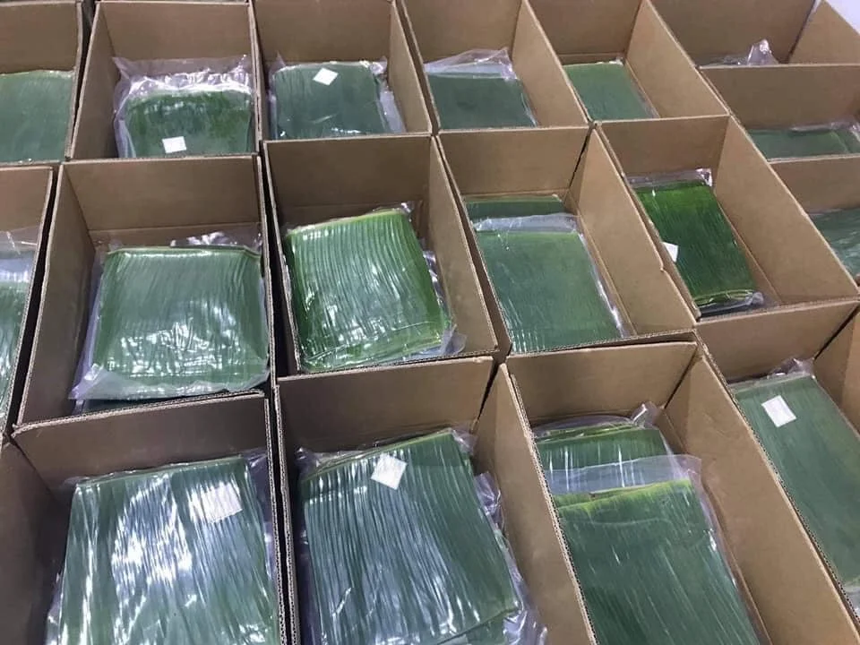 Vietnam Frozen Banana Leaf Fresh Banana Leaves With High Quality +84947900124