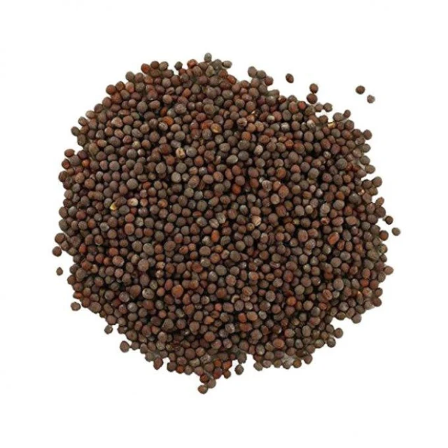 Organic pure mustard seeds pre-packed big bags, from manufacturer
