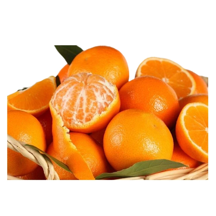 Fresh Citrus Fruits Green Oranges Navel Oranges