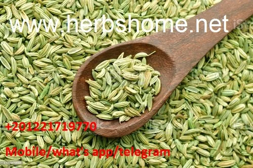 green fennel seeds 9.jpg