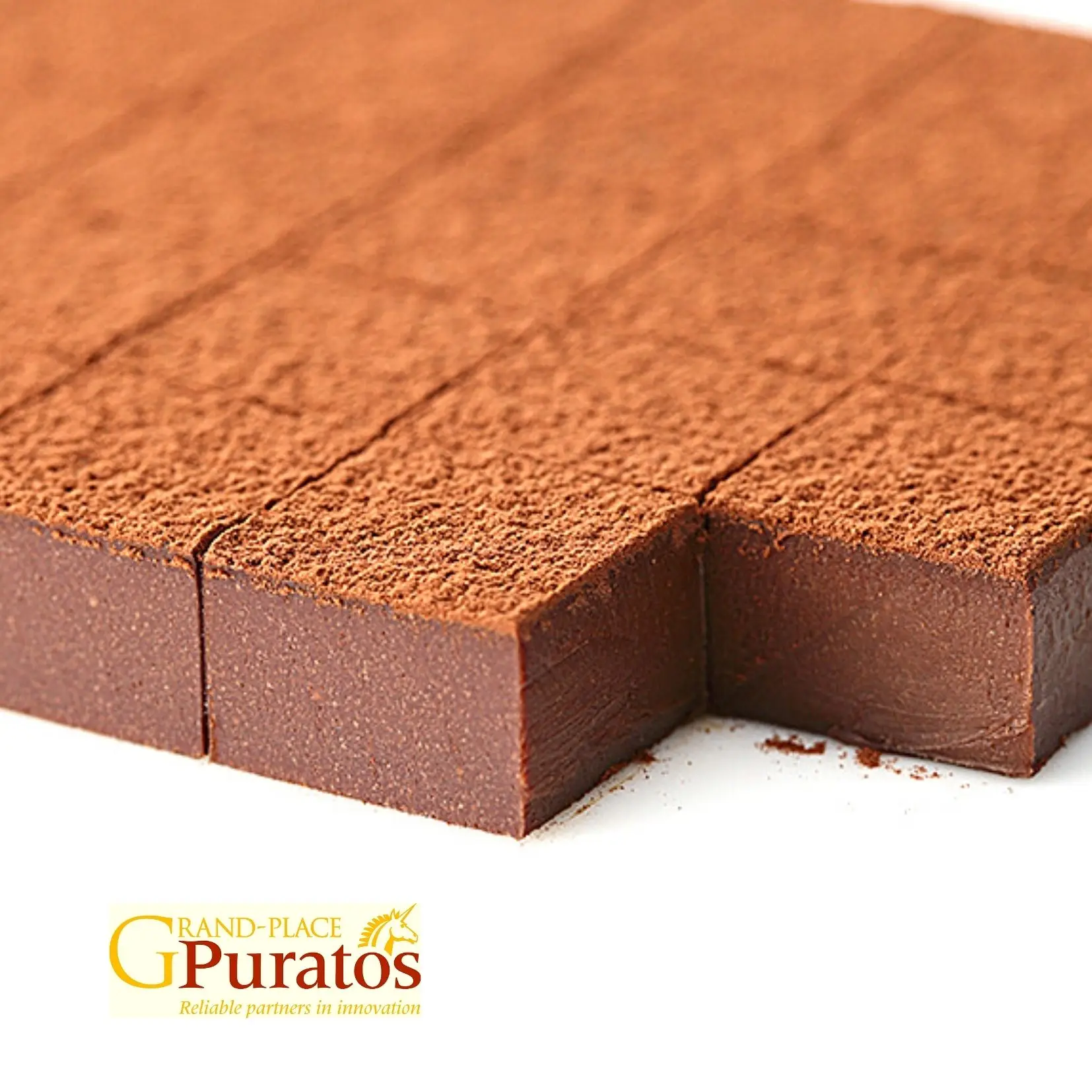 Vietnam Real Chocolate Powder - Convenient - No Tempering Required