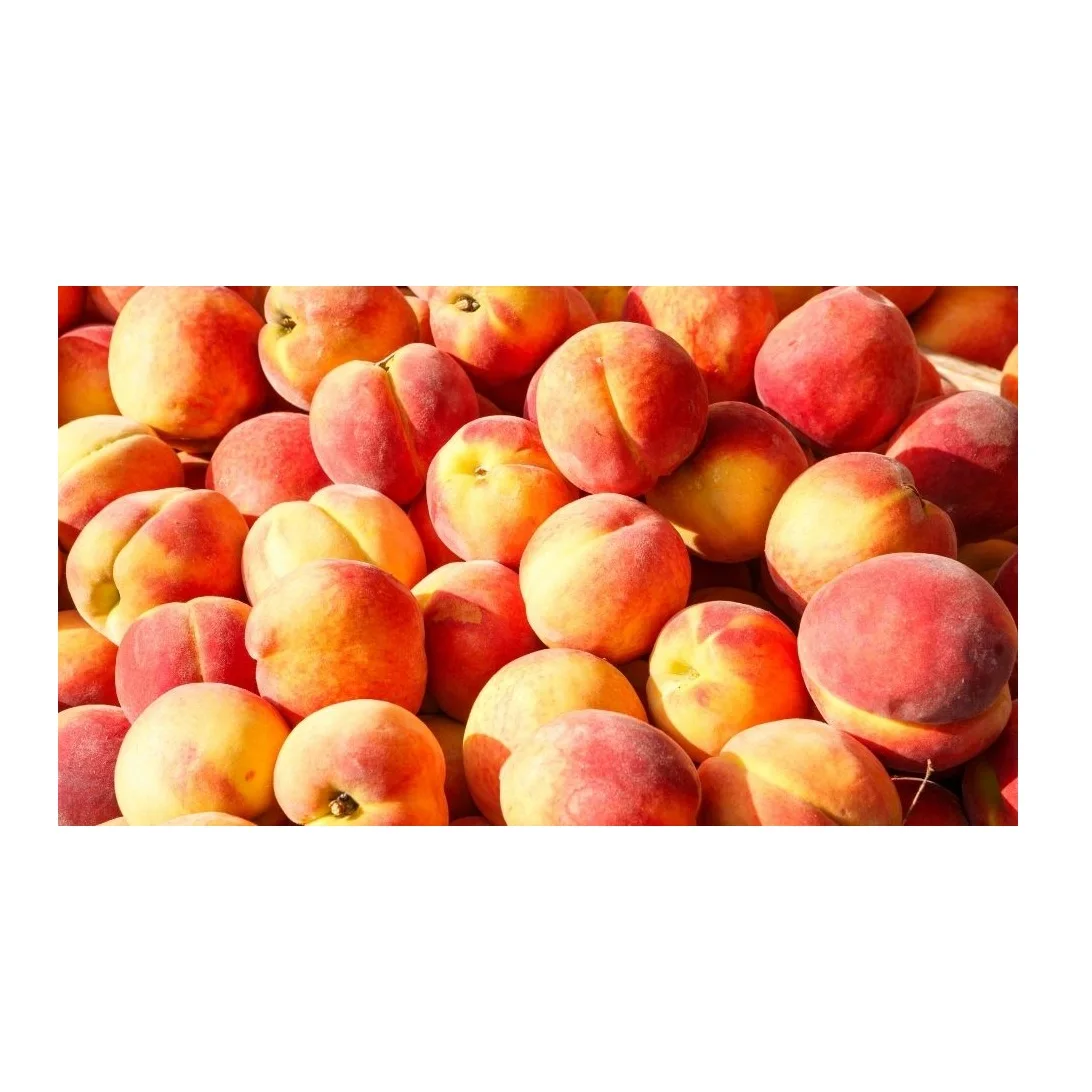 Первоклассная оптовая продажа свежих персиков для продажи по низкой