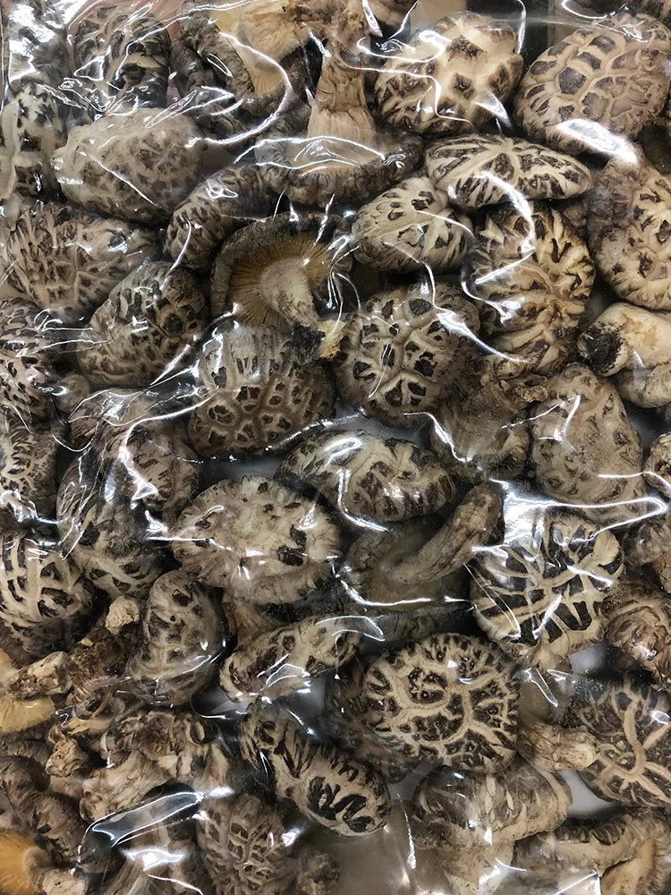 
Vegan Japanese food Wild Brown Dried frozen champignon mushrooms 