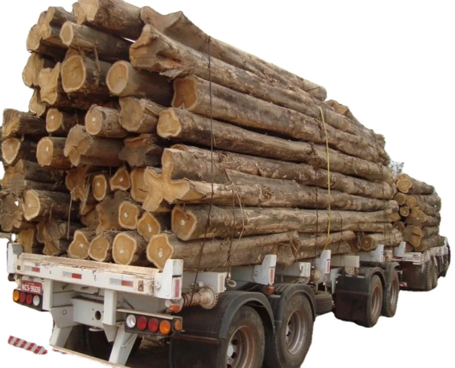 Quality Hardwood Log Ebony wood log Teak Wood - Round Logs / Pine logs / Eucalyptus Logs