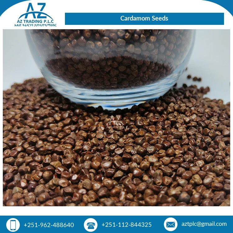 Superb Quality New Harvest Single Spices Dried Cardamom Black Cardamom Seeds from Ethiopia