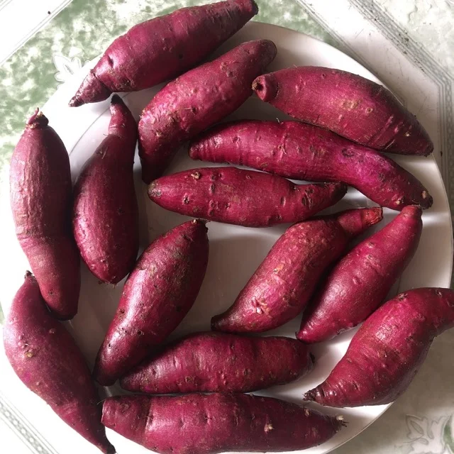 Frozen red sweet potato/yellow sweet potato high quality