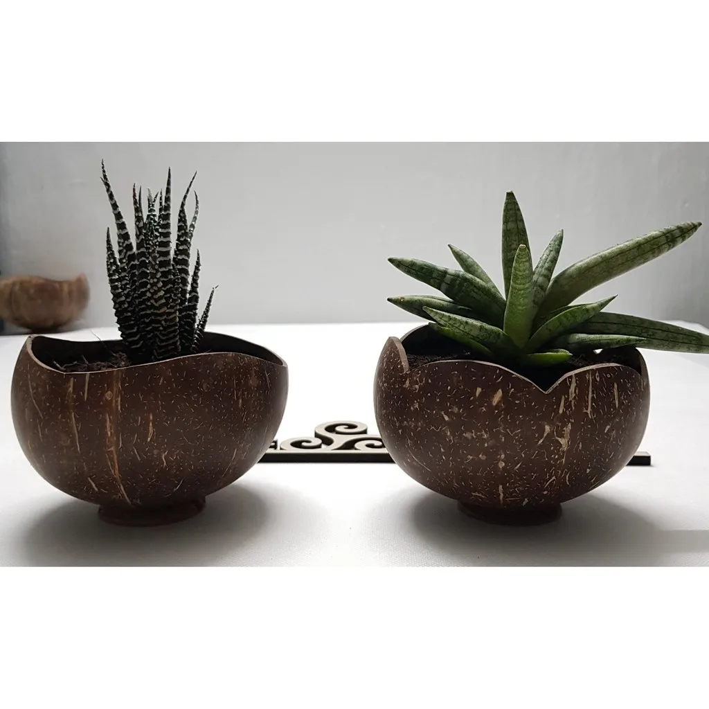 Creative Coconut Shell Hanging Basket Coconut Flower Pot Balcony Decoration