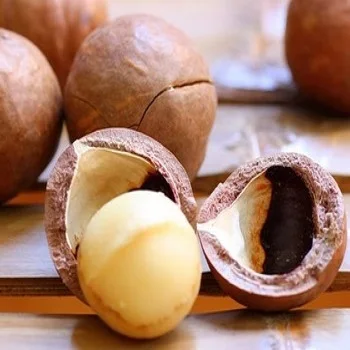
Best High Quality Macadamia 