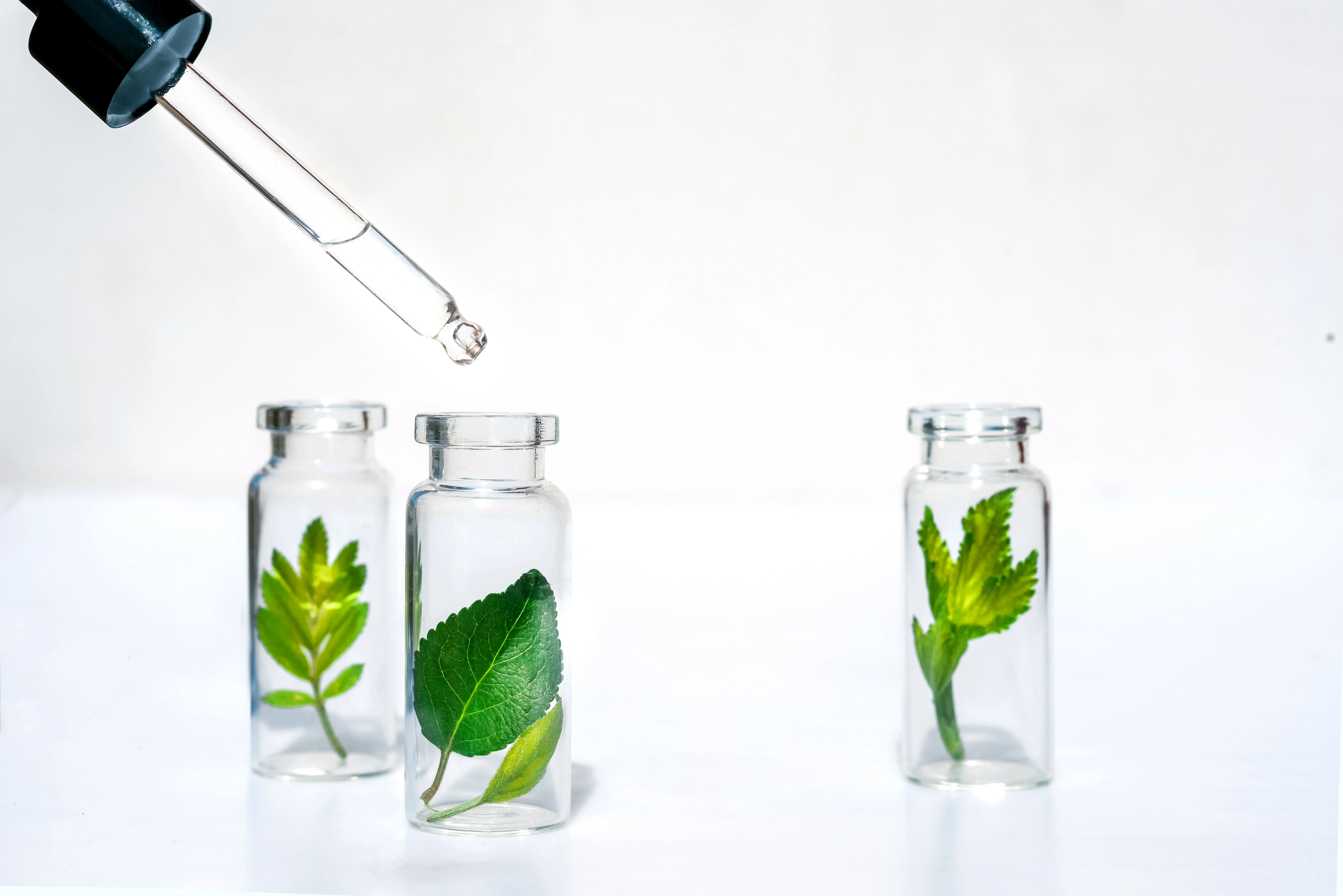 Spring sales promotion private label vegan healthcare supplements in tablets for immune system support