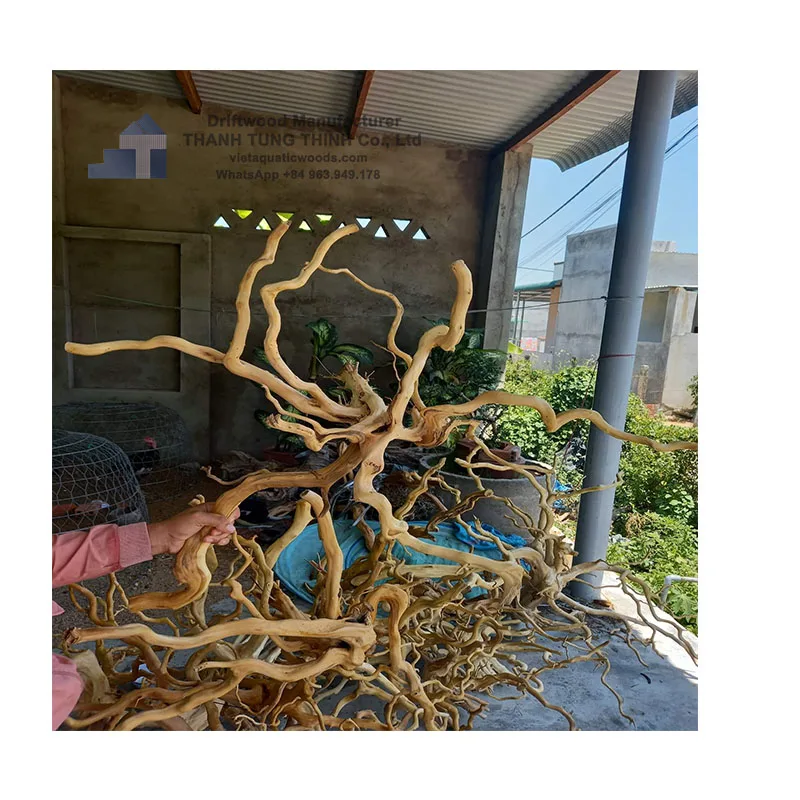 The most favorite Aquarium driftwood roots natural driftwood Aquarium driftwood for aquarium decoration