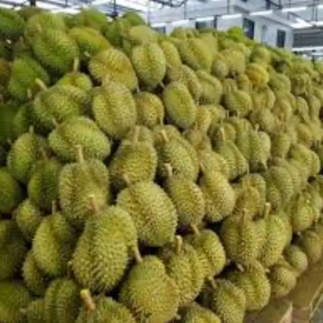 Дуриан Премиум-качества для продажи/мисс Триш + 84 984 696 874 (WHATSAPP)