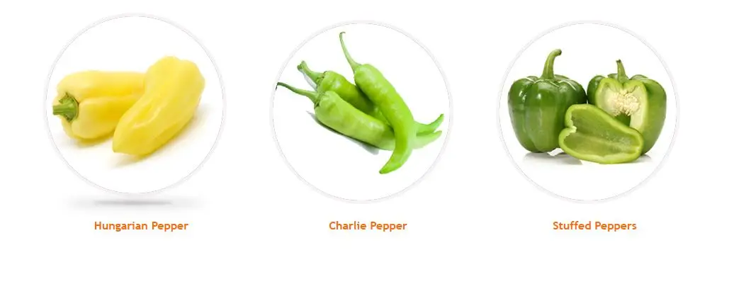 FRESH CAPSICUM ORJIN TURKEY Red  Chile Pepper Stuffed  Lobna pepper Charleston Hungarian Bell Stuffed Peppers