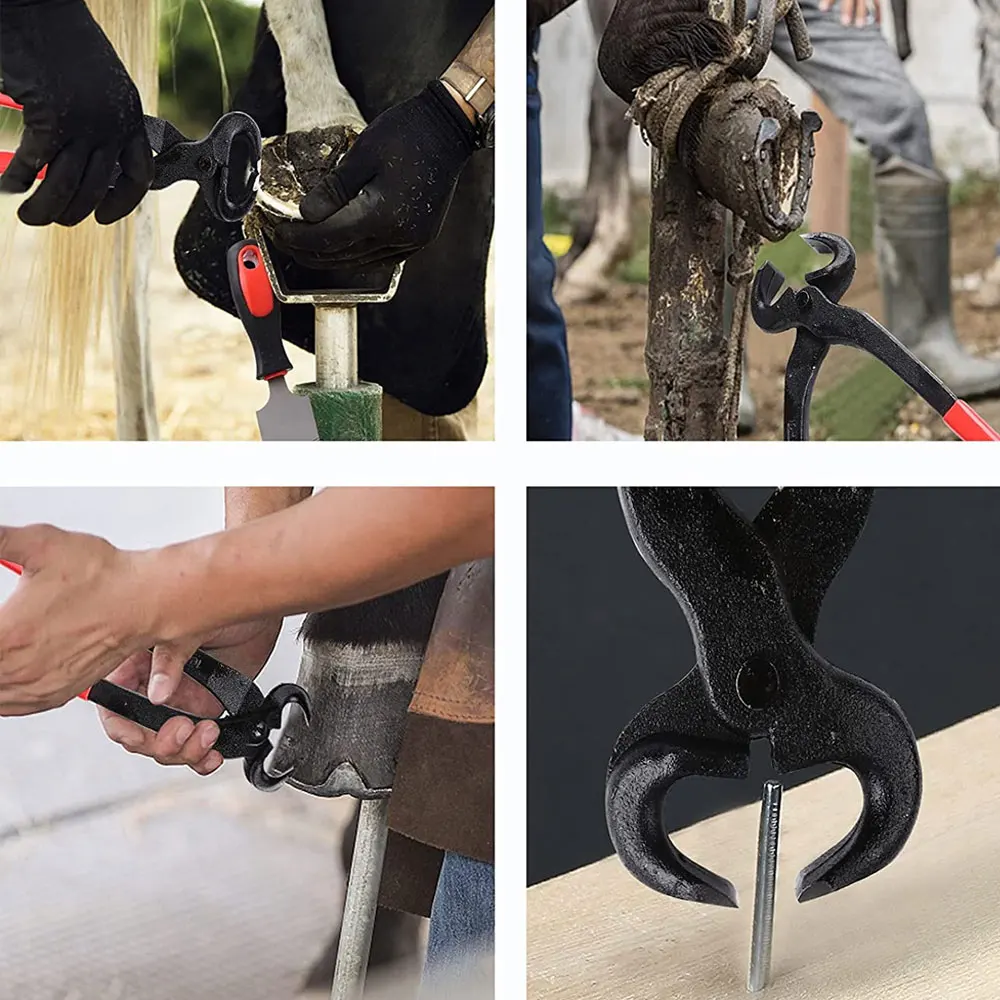 Factory Direct Sale Custom Made Material Top High Quality Farrier Hoof trimming kits | New Design Hoof trimming kits For Sale