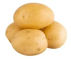 100% Top High Quality Cheap Price Pakistan Made Fresh Red Potato For Sale