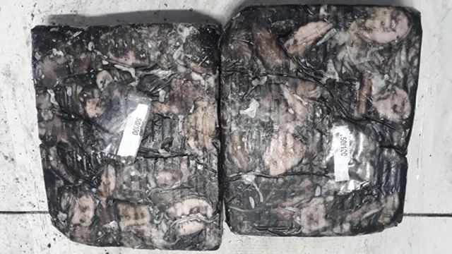 FROZEN BABY CUTTLEFISH WHOLE