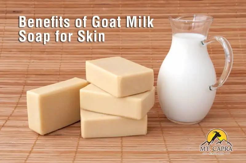 Whitening Soap Goat Milk Soap Base
