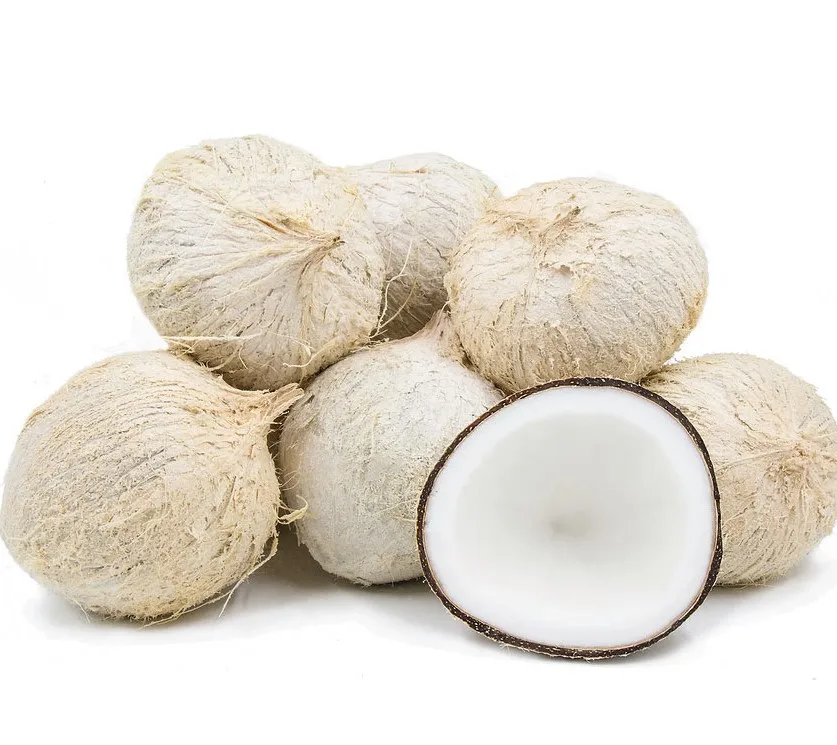 Fresh Young Aroma Coconut for wholesale price