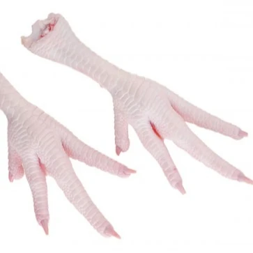 Processed Frozen Chicken Feet/Paws from USA exporters