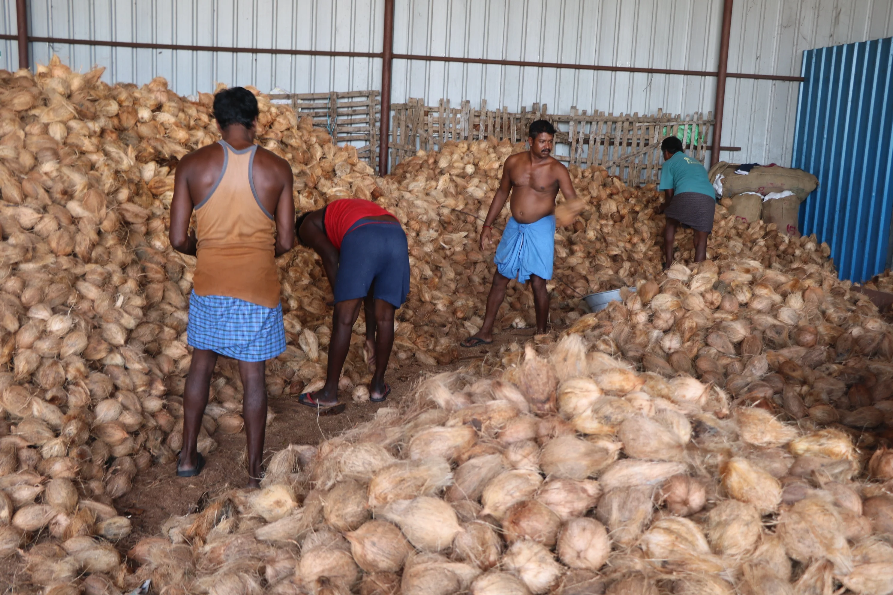 PURE QUALITY COCONUT FROM