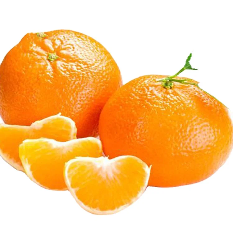 Best Quality Special Pakistan sweet Pure Organic Mandarin Orange tangerine Factory price Fresh