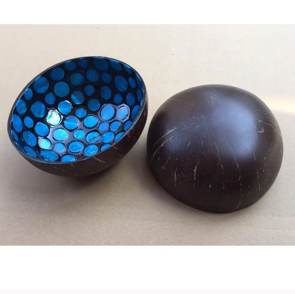 Coconut products High quality eco friendly nice MOP eggshell coconut bowl from Viet Nam Cocobowl and spoons