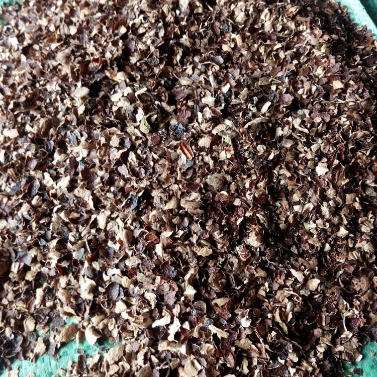 VIETNAM CASHEW NUT HUSK AND POWDER/ KAESYU FOR ANIMAL CATTLE FEED