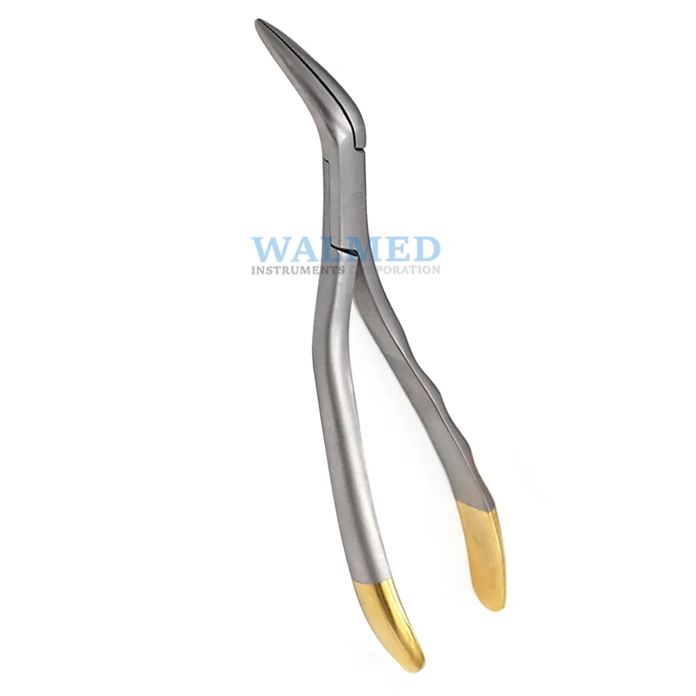 
Stainless Steel Dental Extracting Forceps For Sale / Dental Extracting Forceps 
