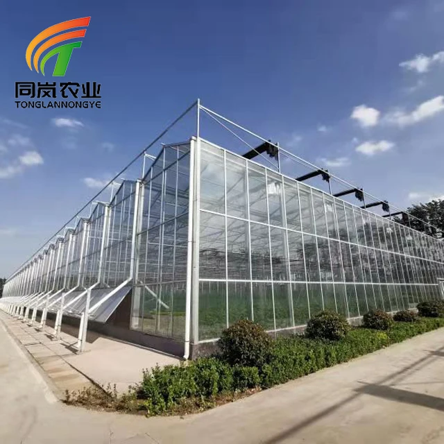 China Manufacturer Low Cost Sale Multi-span Single-span Metal Structure Frame Glass Greenhouses Used For Garden And Agricultural