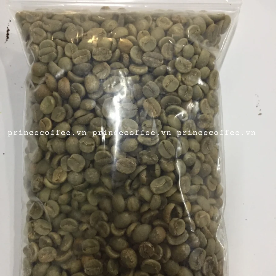  Бесплатный образец зеленый кофе в зернах оптовая продажа Arabica вьетнамский производитель