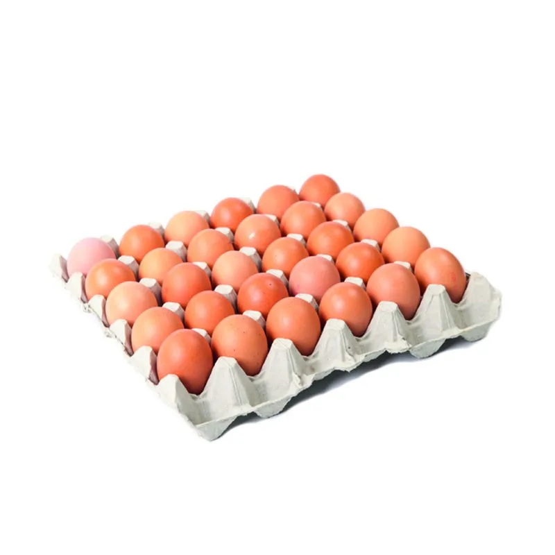 
Wholesale High Quality Brown and White table Eggs 