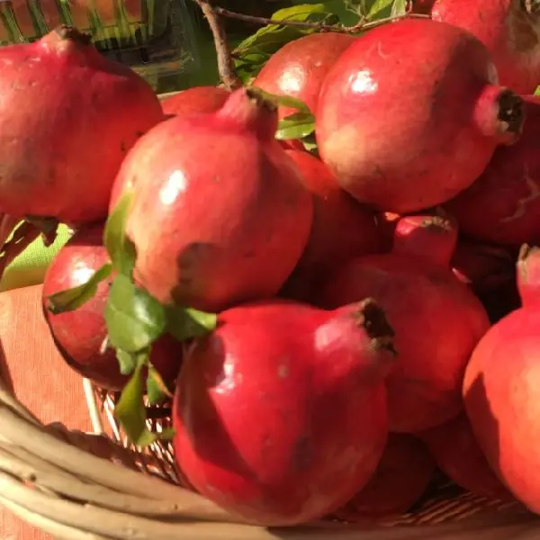 GOOD  POMEGRANATE SWEET RED