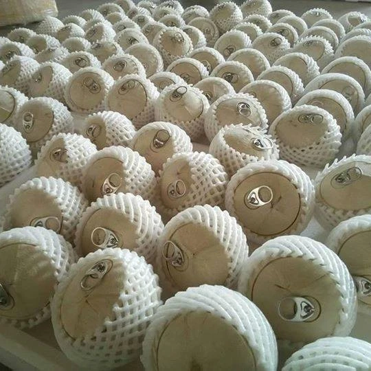 
Wholesale Easy Open Coconut/Fresh Young Coconut with High Quality/Diamond Coconut from Vietnamese Supplier 