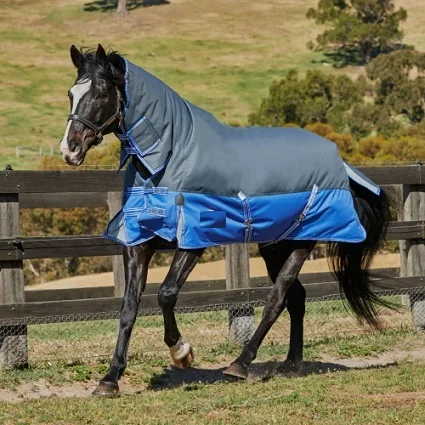 
Combo Horse rugs/Horse Rugs Manufacturers 